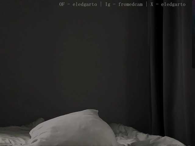 Fromedcam