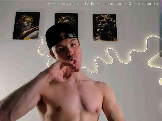 Fromedcam