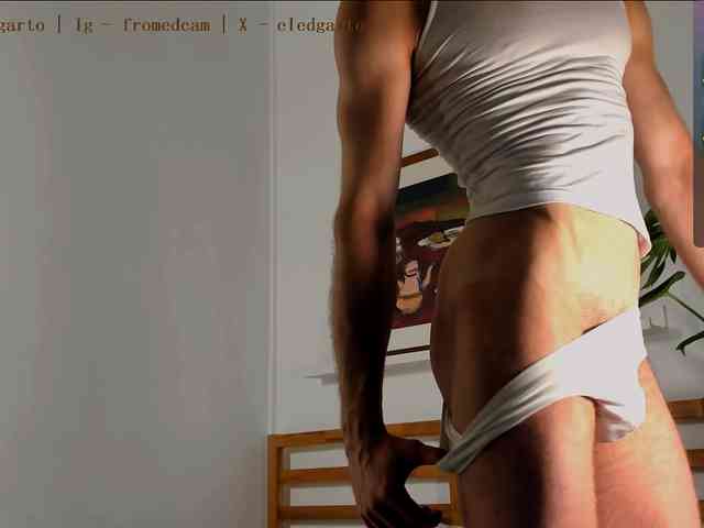 Fromedcam