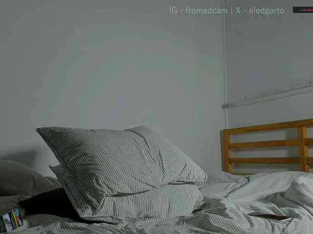 Fromedcam
