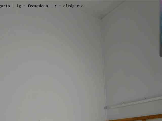 Fromedcam