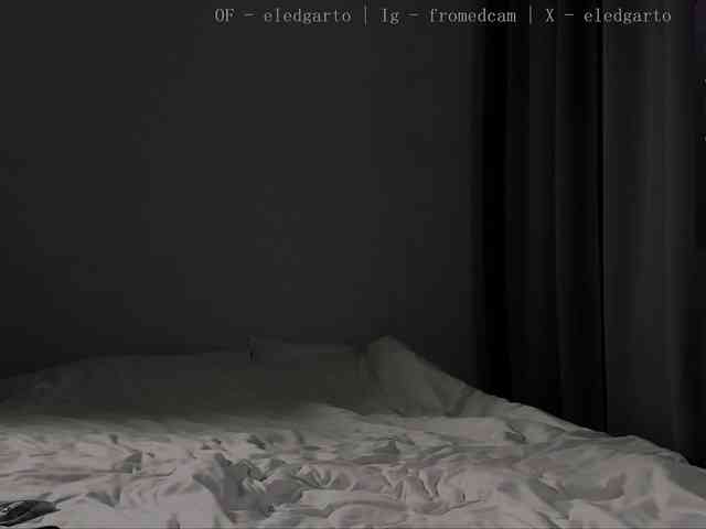 Fromedcam