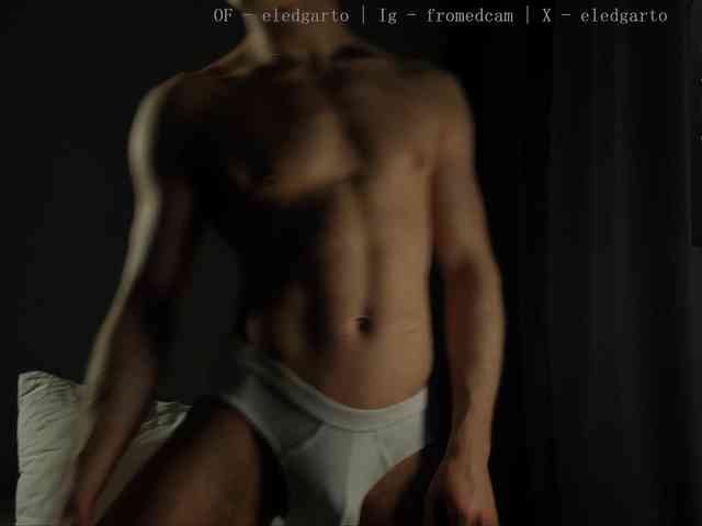 Fromedcam