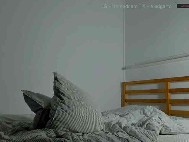 Fromedcam