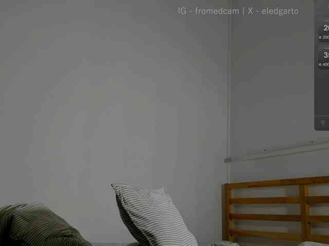 Fromedcam