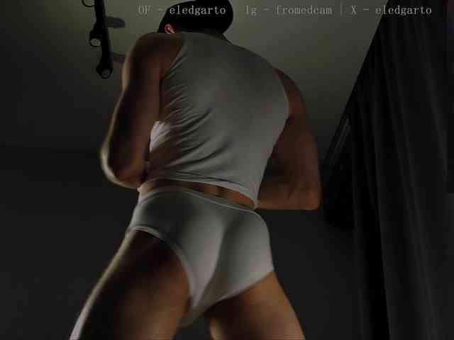 Fromedcam