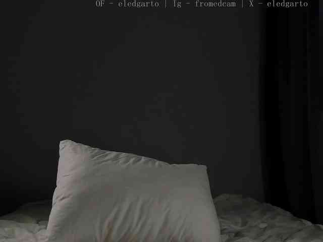 Fromedcam