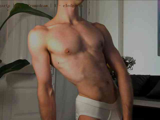 Fromedcam