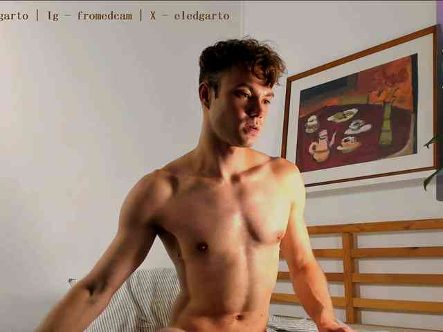 Fromedcam