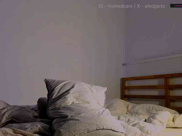 Fromedcam