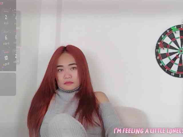 Yayee webcam