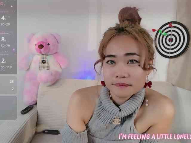 Yayee webcam