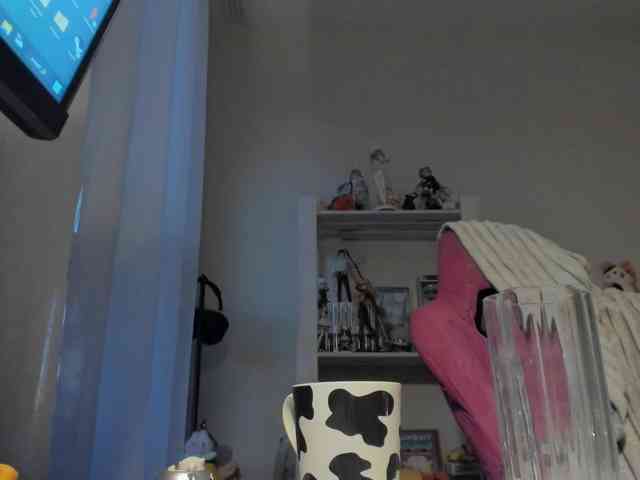 funeralhome webcam