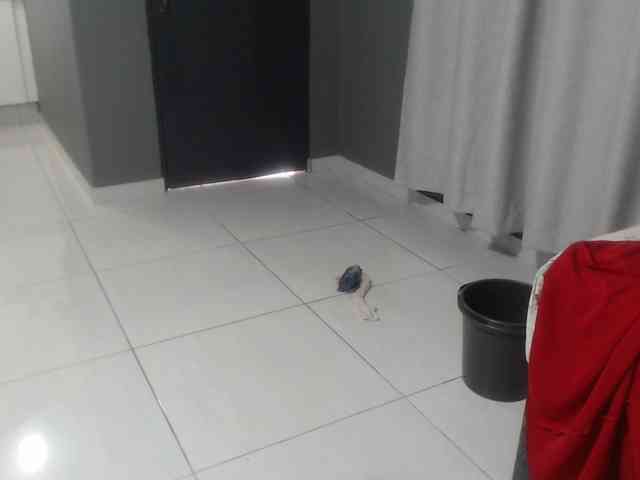 Sheila80 webcam
