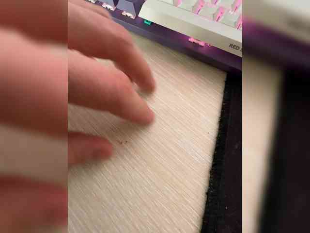 Rabbits03 Live Webcam on BongaCams