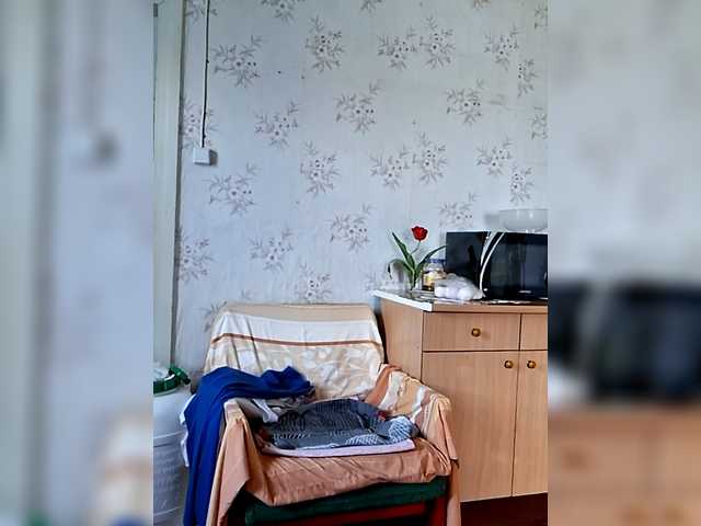 Vika211
