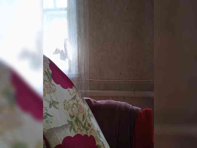Vika211 webcam