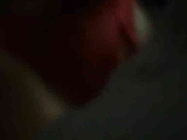 KrisDima2 webcam
