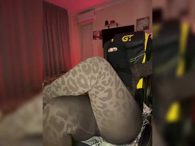 Plennica live cam on BongaCams