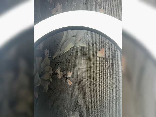 Plennica