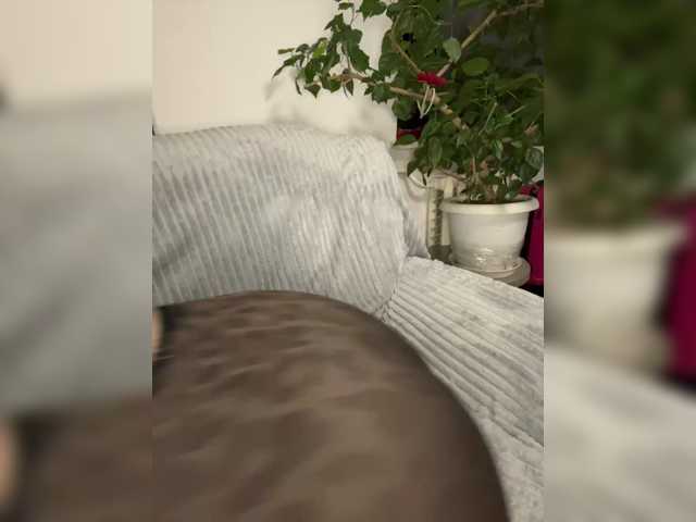 Kavkazkaya-Plennica live cam preview