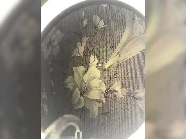 Plennica