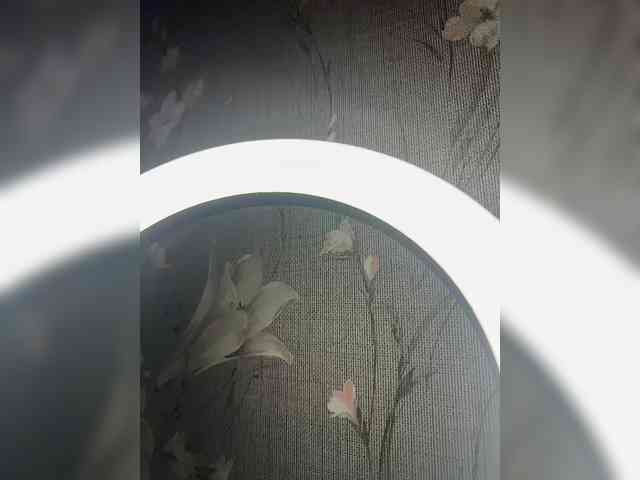 Kavkazkaya-Plennica webcam