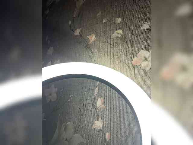 Kavkazkaya-Plennica webcam