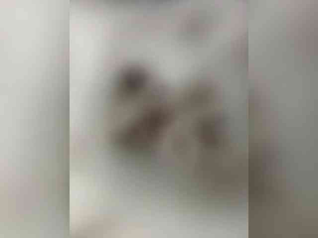 Kavkazkaya-Plennica webcam