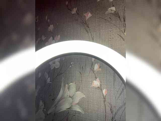 Kavkazkaya-Plennica webcam