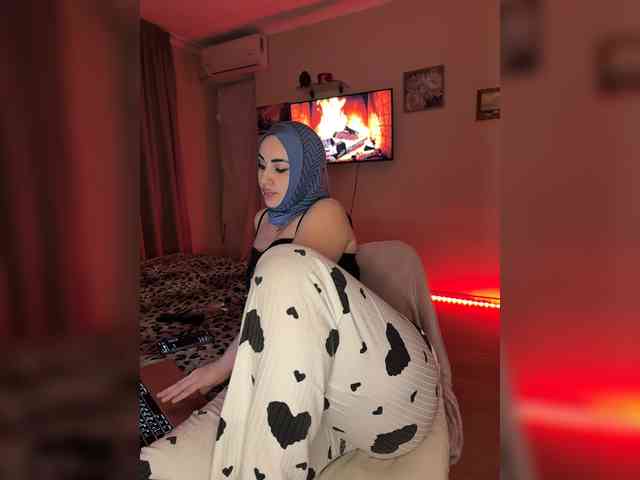 Bu model şu anda canlı. Plennica
