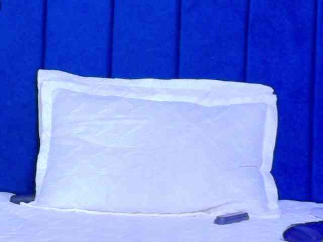 Modelo: kiaratentation