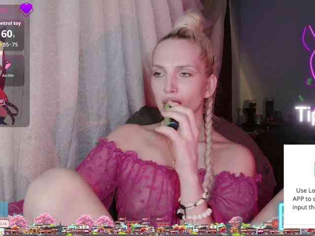 GuidingStar webcam