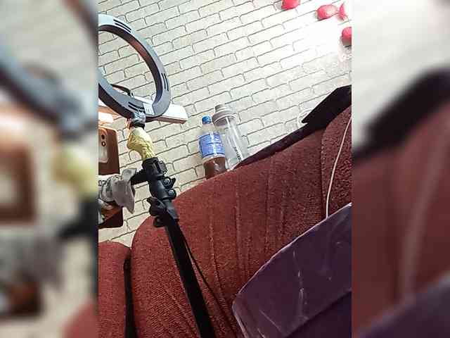 Lina-a-13 webcam