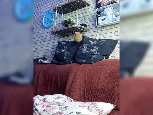 Lina-a-13 webcam