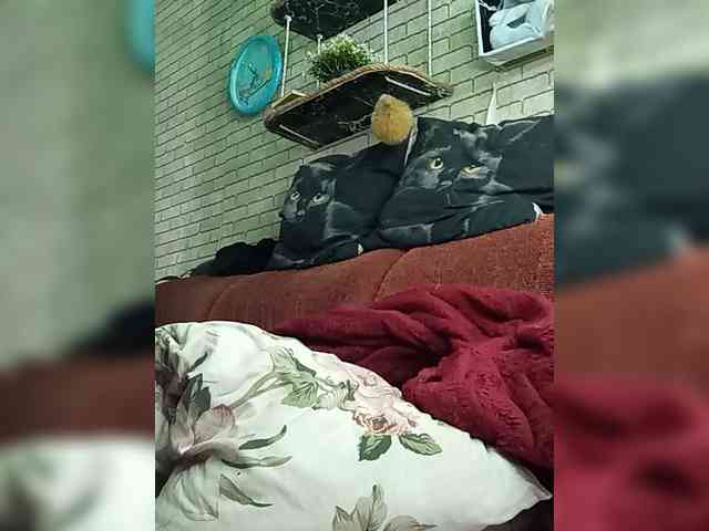 Lina-a-13 webcam