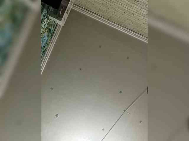 Lina-a-13 webcam