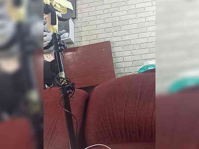 Lina-a-13 webcam
