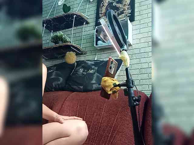 Lina-a-13 webcam