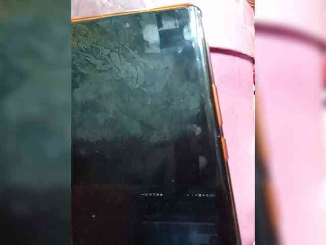 Lina-a-13 webcam