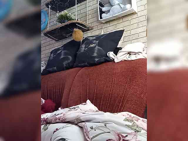 Lina-a-13 webcam