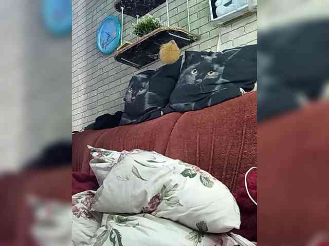 Lina-a-13 webcam