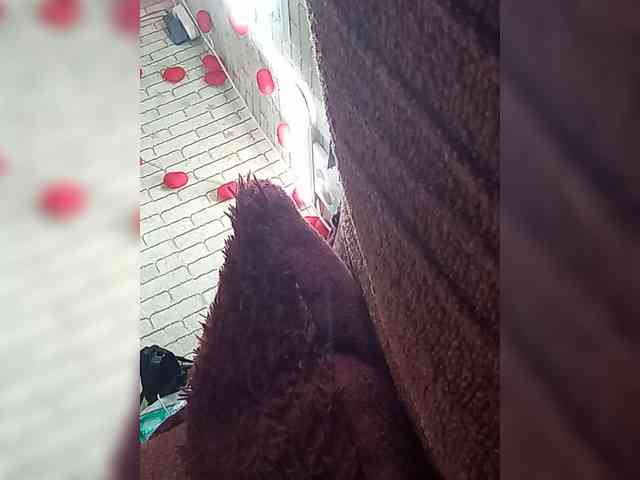 Lina-a-13 webcam