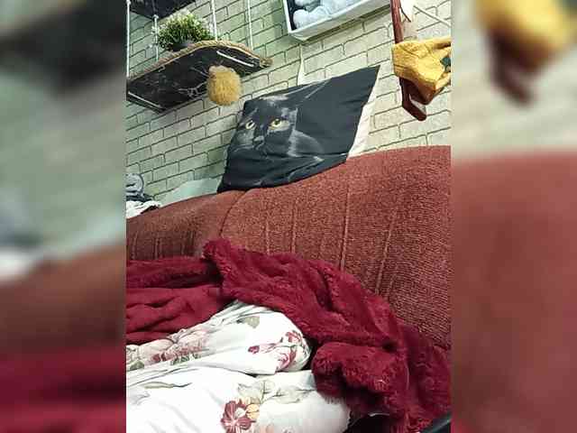 Lina-a-13 webcam