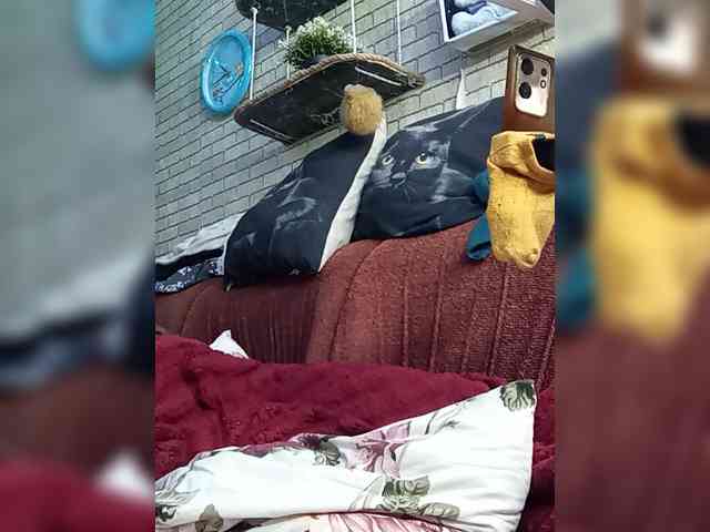 Lina-a-13 webcam