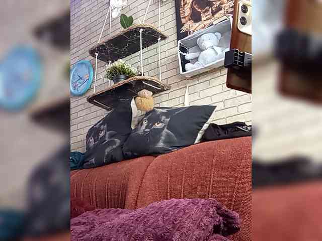 Lina-a-13 webcam