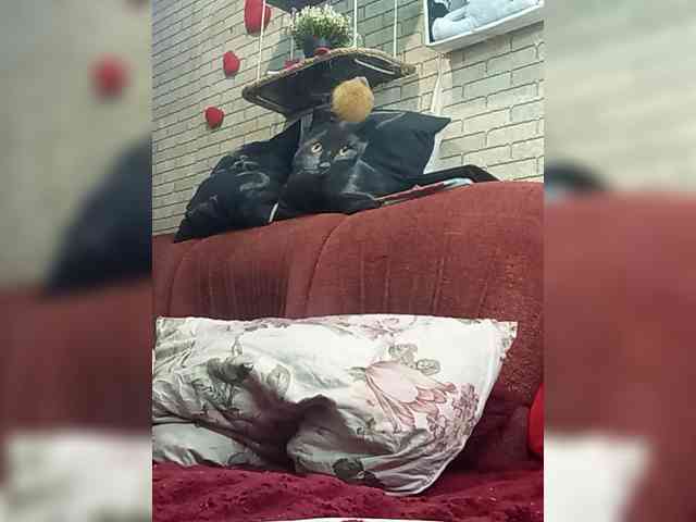 Lina-a-13 webcam