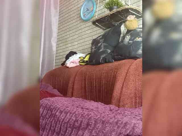 Lina-a-13 webcam