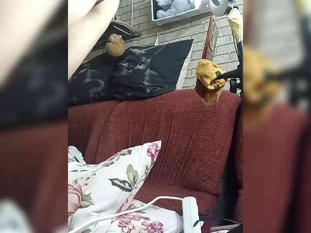 Lina-a-13 webcam