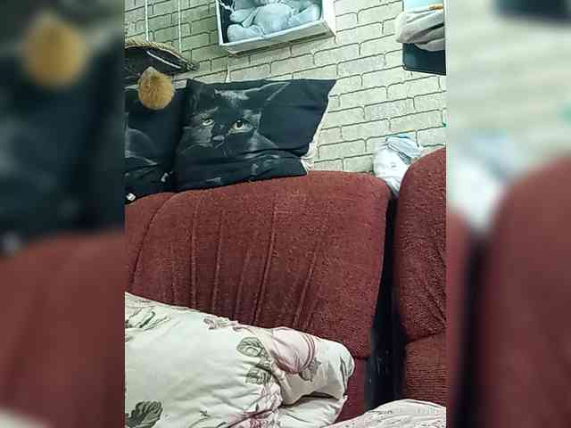Lina-a-13 webcam